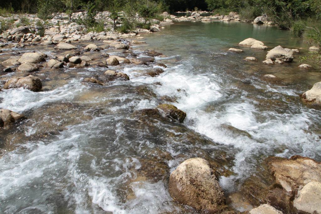 Agriturismo Colombino Σιένα Εξωτερικό φωτογραφία
